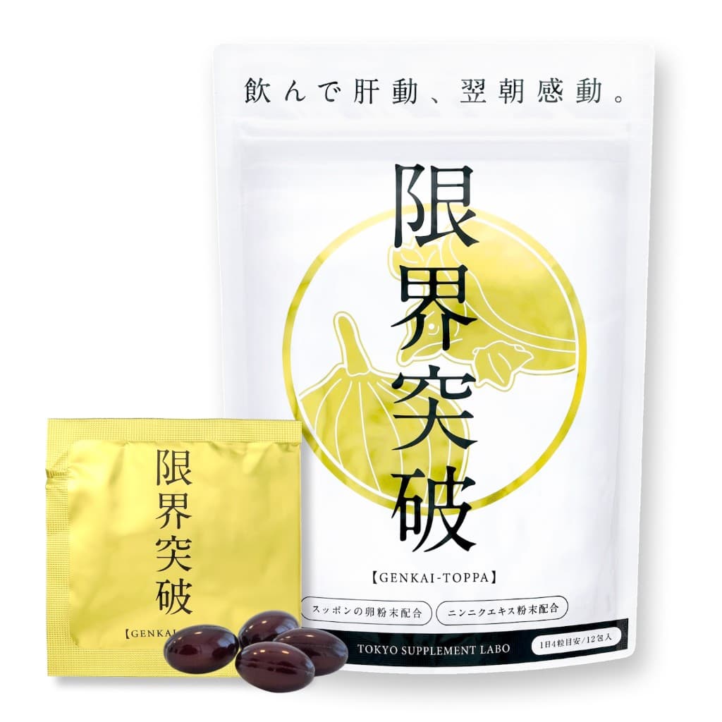 限界突破 商品画像